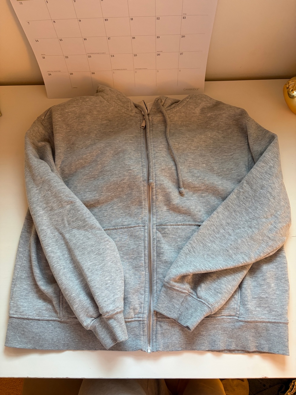 H&M Divided Zip-Up Hoodie